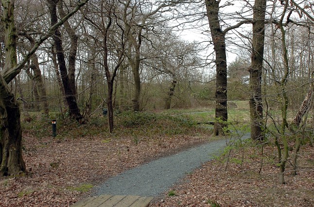 The wooded area near Gulliver?s World Theme Park in Warrington, Cheshire, where the babys body was found at around 11am on March 14, 1998. Photo released October 18 2023. See SWNS story SWLSbaby. A man and a woman have been arrested in a murder investigation following the death of a baby 25 years ago. In the late morning of March 14, 1998, the body of a strangled baby boy was found in wooded areas in Callands near to Gulliver?s World Theme Park. Named after the area of Warrington in which he was found, the investigation into Callum?s death remains unsolved. His true identity remains a mystery, and his parents have never been identified.