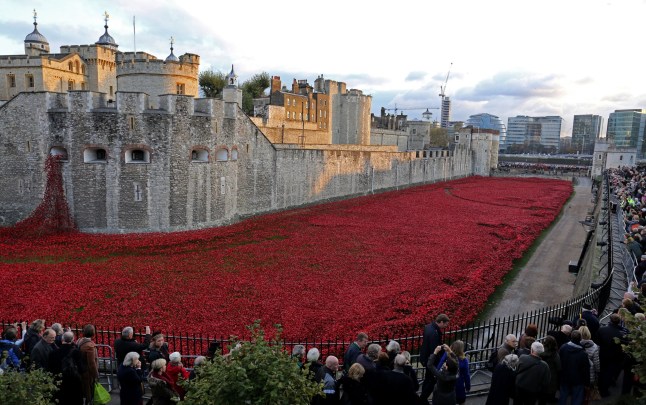 Members of the public stop to look at the ceramic poppies which form part of the art installation 'Blood Swept Lands and Seas of Red' by artist Paul Cummins at the Tower of London, marking the centenary of World War I. PRESS ASSOCIATION Photo. Picture date Wednesday November 5th 2014. Photo credit should read Chris Radburn/PA