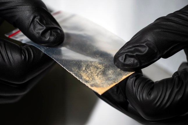 Alex Krotulski, 32, associate director and forensic toxicologist, holds a nitazene powder sample at the Center for Forensic Science Research and Education on Friday, Oct. 20, 2023, in Willow Grove, Pa. Nitazenes are a class of synthetic opioids typically sold as heroin and are estimated to be several times more potent than fentanyl. (Photo by Joe Lamberti for The Washington Post via Getty Images)
