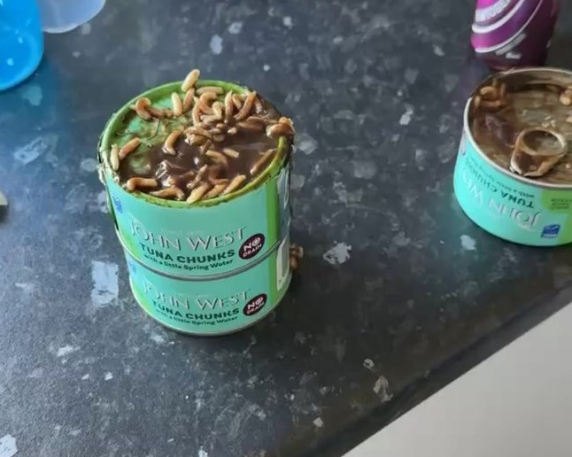 PIC FROM KENNEDY NEWS AND MEDIA (PICTURED: THE MAGGOTS IN THE JOHN WEST TUNA CANS BETHANY BRYSON BOUGHT FROM ASDA) A mum has vowed never to eat tuna again after claiming to discover 'more than 100 maggots' crawling in her tot's John West tuna dinner bought in Asda. Bethany Bryson had nipped to Asda's Edinburgh Supercentre store on 23 May to grab a few essentials and bought a multipack of John West tinned tuna for ??3.98. The mum-of-one had intended to make her son a tuna and sweetcorn baguette for lunch and did not notice anything unusual about the cans in the store. DISCLAIMER: While Kennedy News and Media uses its best endeavours to establish the copyright and authenticity of all pictures supplied, it accepts no liability for any damage, loss or legal action caused by the use of images supplied and the publication of images is solely at your discretion. SEE KENNEDY NEWS COPY - 0161 697 4266